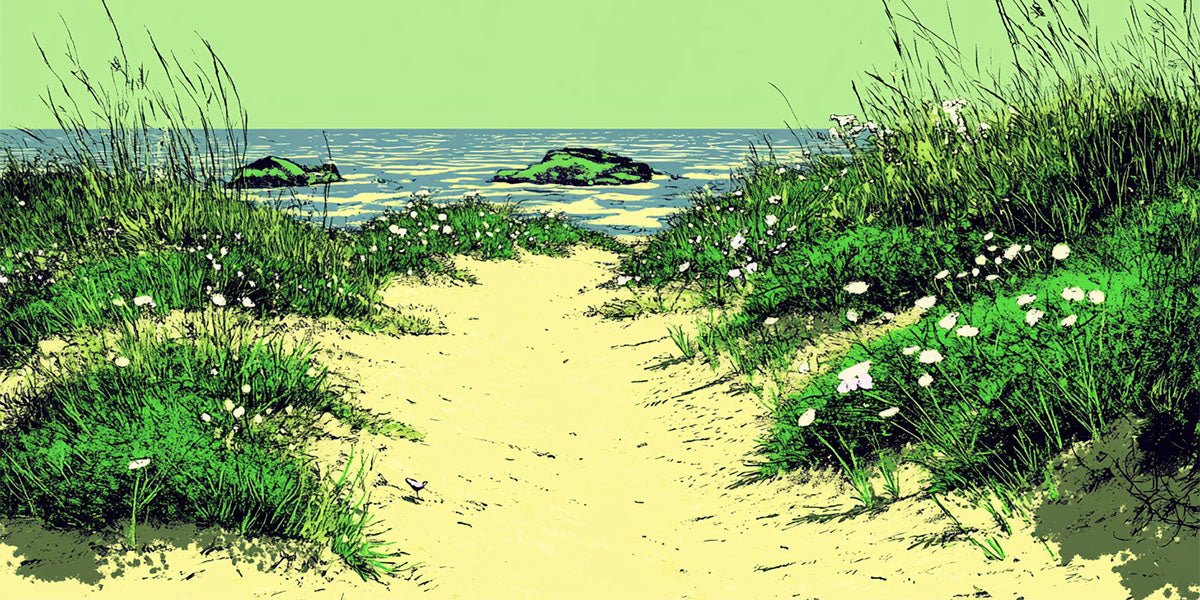 Aeolian Coast | PERFUME OILS - Black Swan Society